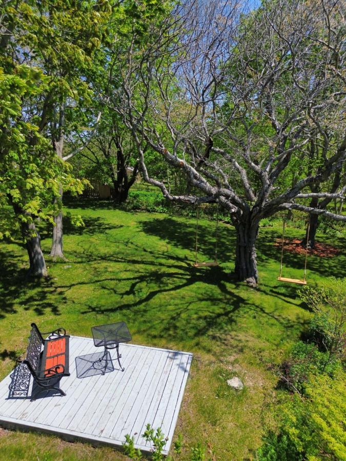Belle View Manor Inn Harbour Grace Dış mekan fotoğraf