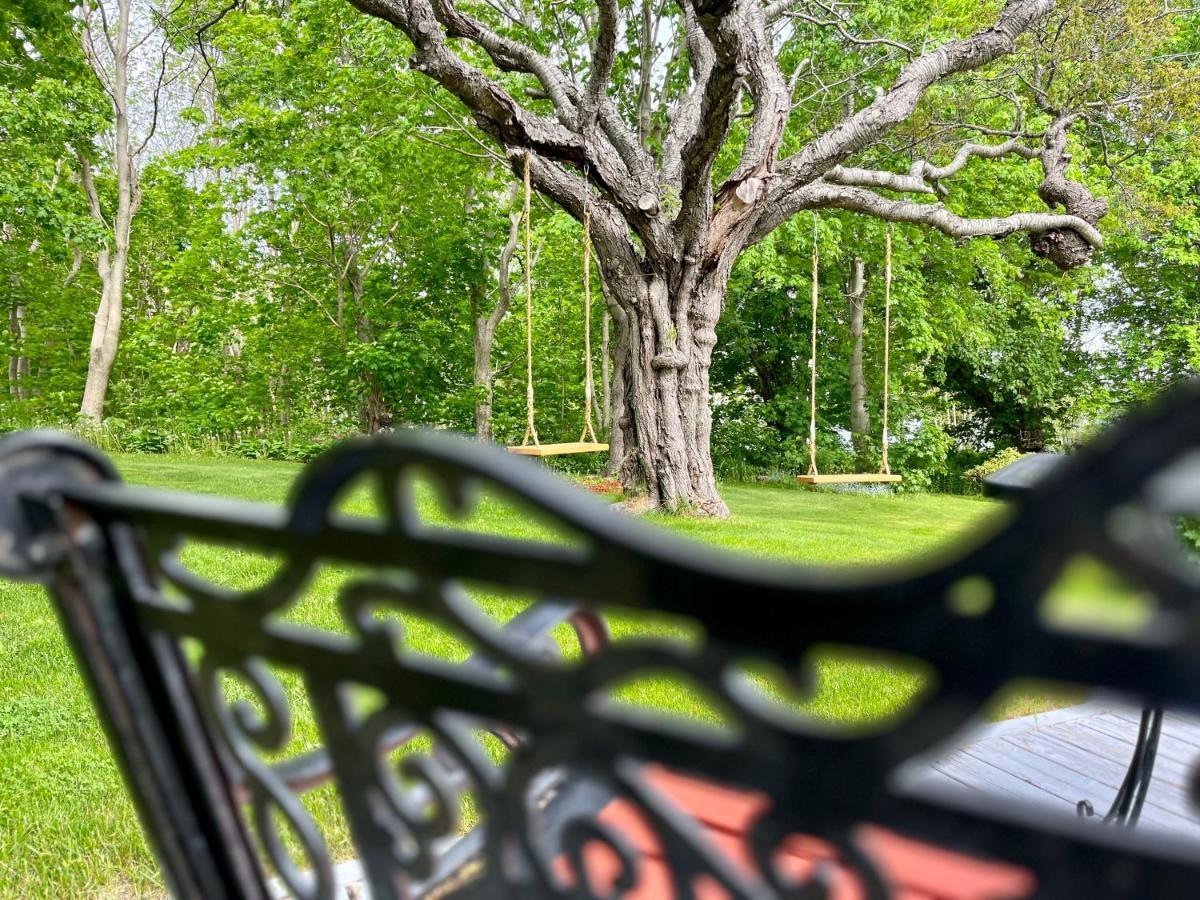 Belle View Manor Inn Harbour Grace Dış mekan fotoğraf